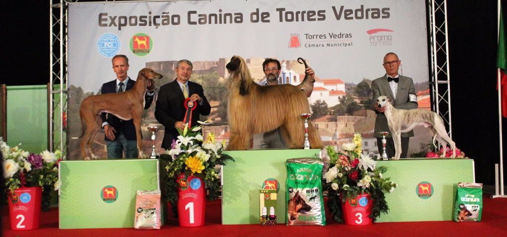 des Carmauries - Torrès Védras ( Portugal)