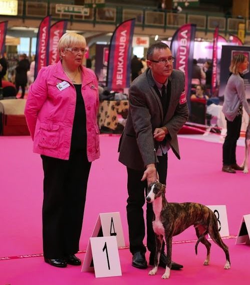 des Carmauries - "Speciale whippet " Orléans